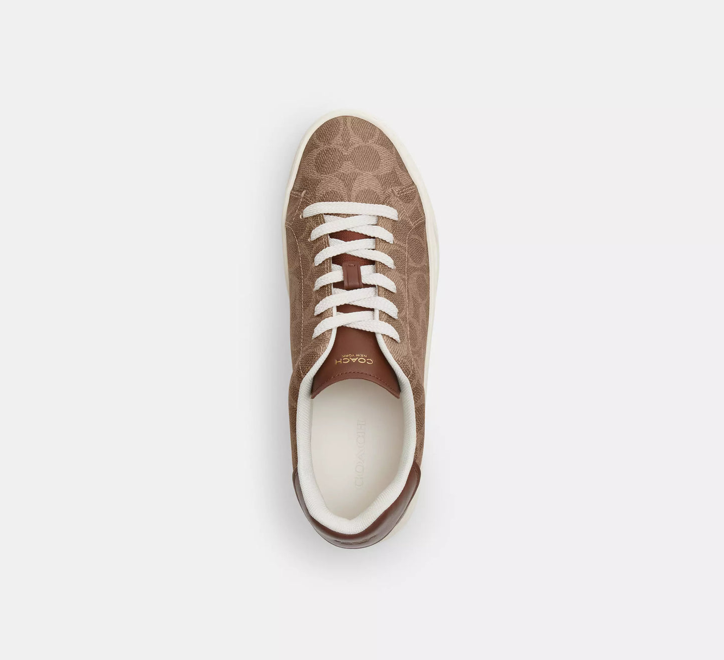 Coach Tenis Mujer High Line Sneaker Casuales